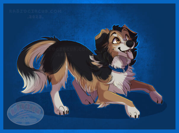 Pet Cartoonify - Collie